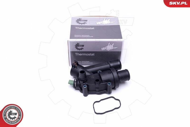 Thermostat, coolant